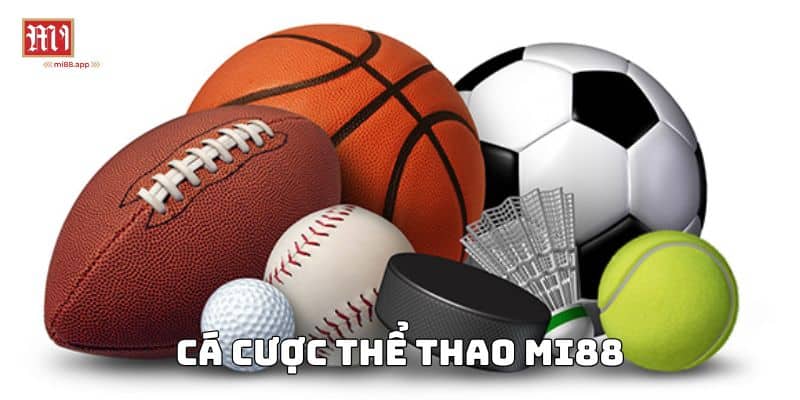Trang chủ 4 Cá độ thể thao an toàn và uy tín