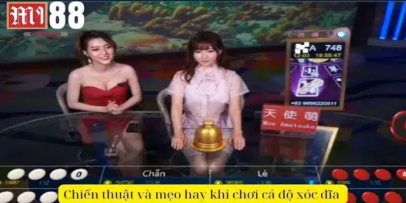 Cá Độ Xóc Đĩa Online - Hiểu Rõ Luật, Làm Chủ Cuộc Chơi 3 Chiến thuật và mẹo hay khi chơi cá độ xóc đĩa