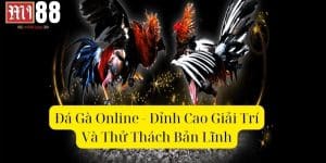 đá gà online