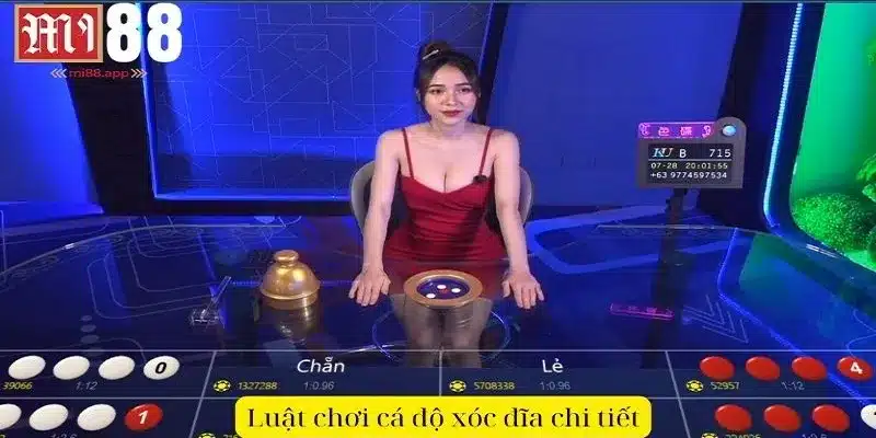 Cá Độ Xóc Đĩa Online - Hiểu Rõ Luật, Làm Chủ Cuộc Chơi 2 Chia sẻ về luật chơi cá độ xóc đĩa chi tiết cho thành viên mới