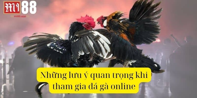 Những lưu ý quan trọng khi tham gia đá gà online