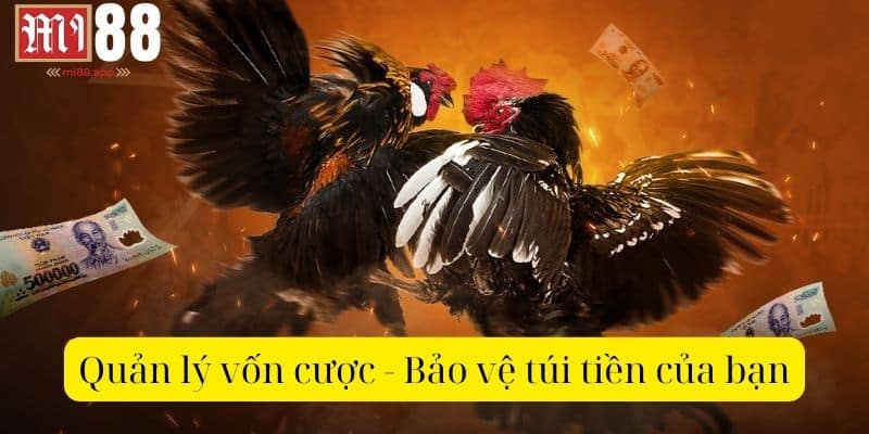 Quản lý vốn thật hợp lý