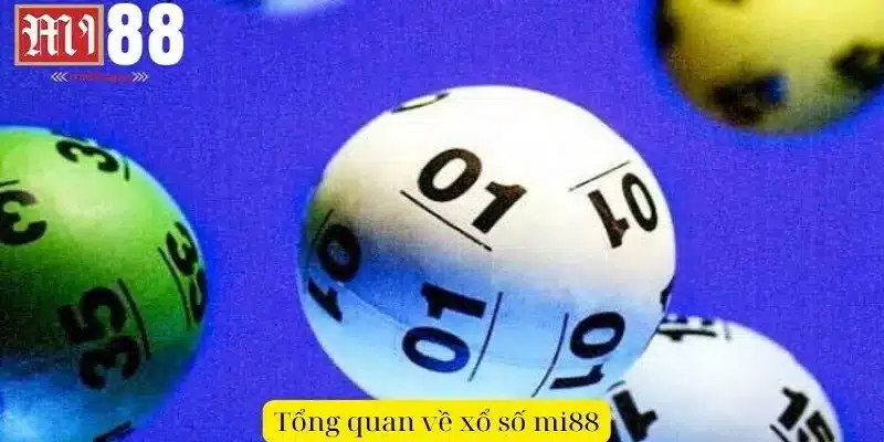 Tổng quan về loại hình xổ số Mi88